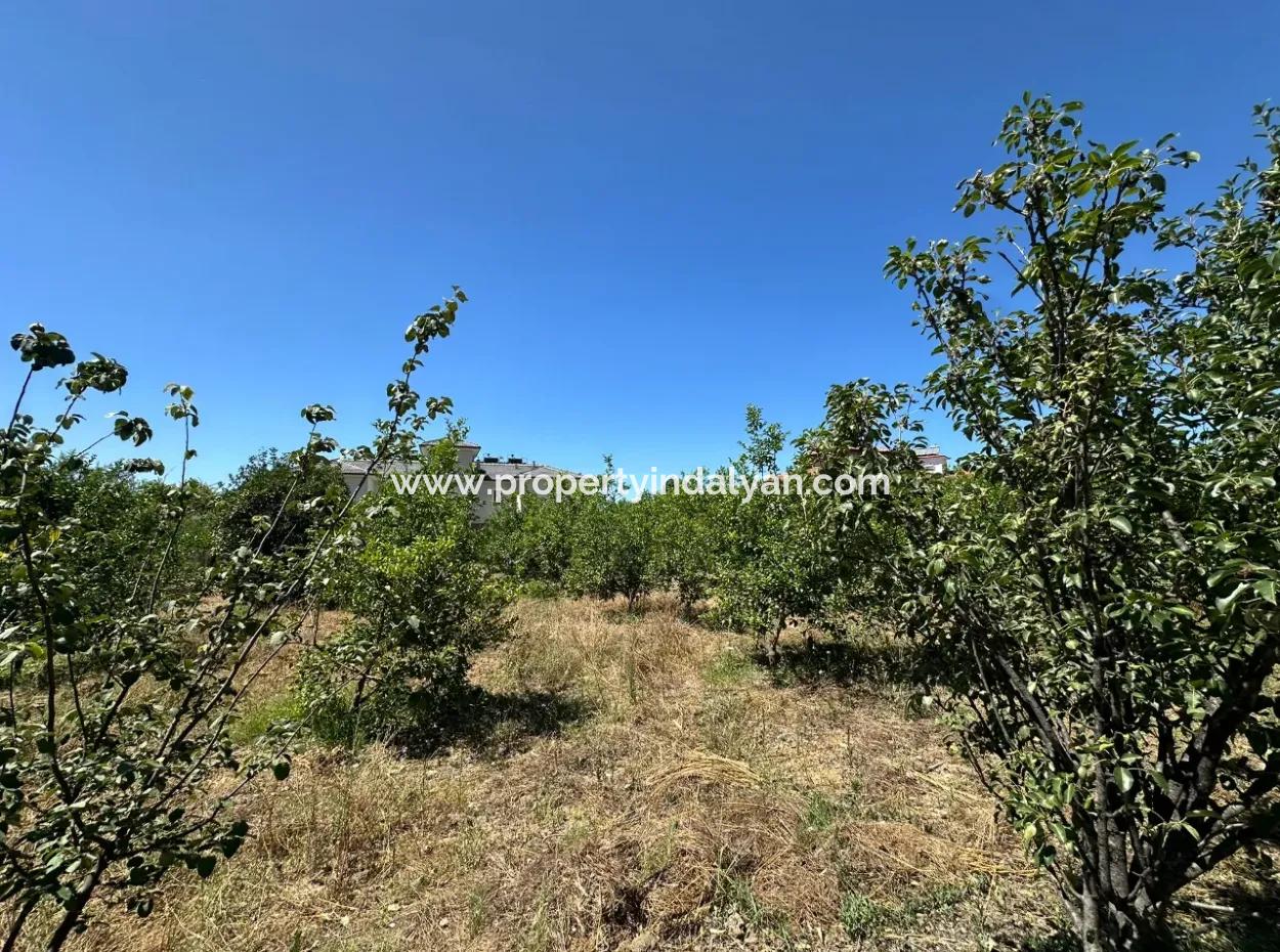 650 M2 30% Zoned Land For Sale In Ortaca Center