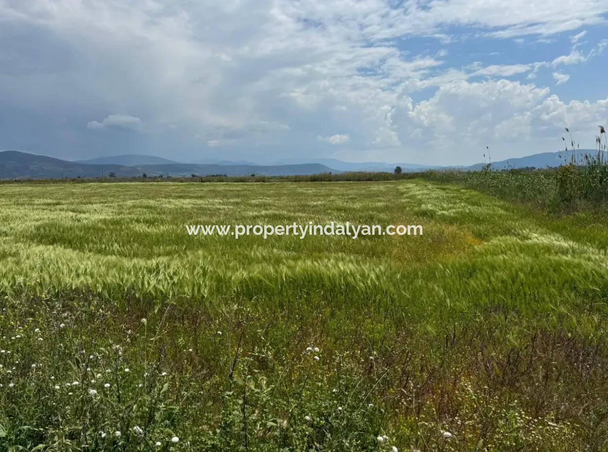Milas Avşar 27.216 M2 Flat Data Detached Land For Urgent Sale, Open To Offer