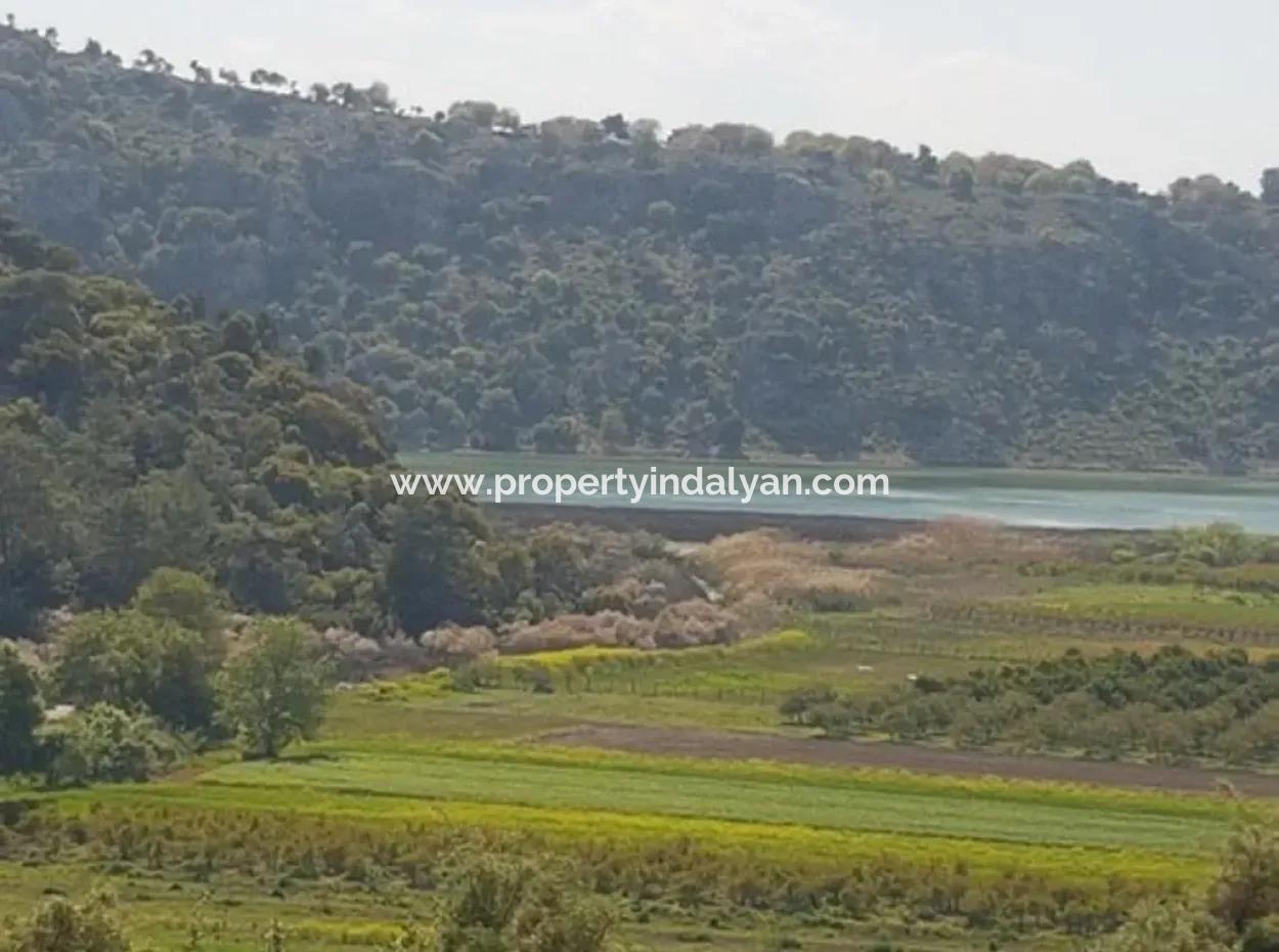Lake-Zero Treasury Land In Muğla Dalaman Kapıkargın – Possession Will Be Transferred 