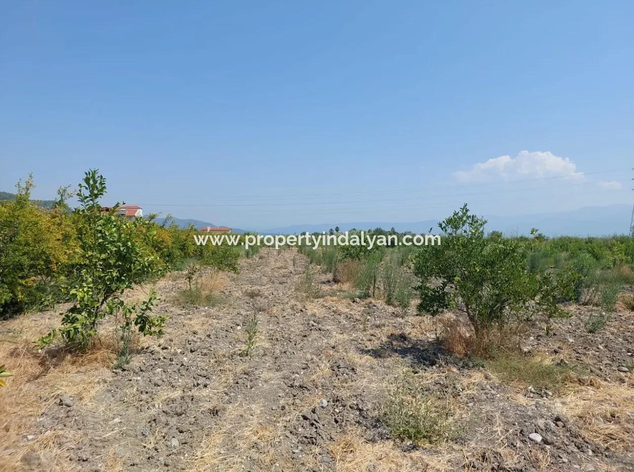 2.800 M² Land For Sale In Dalyan, Muğla, Close To Dalyan Canal