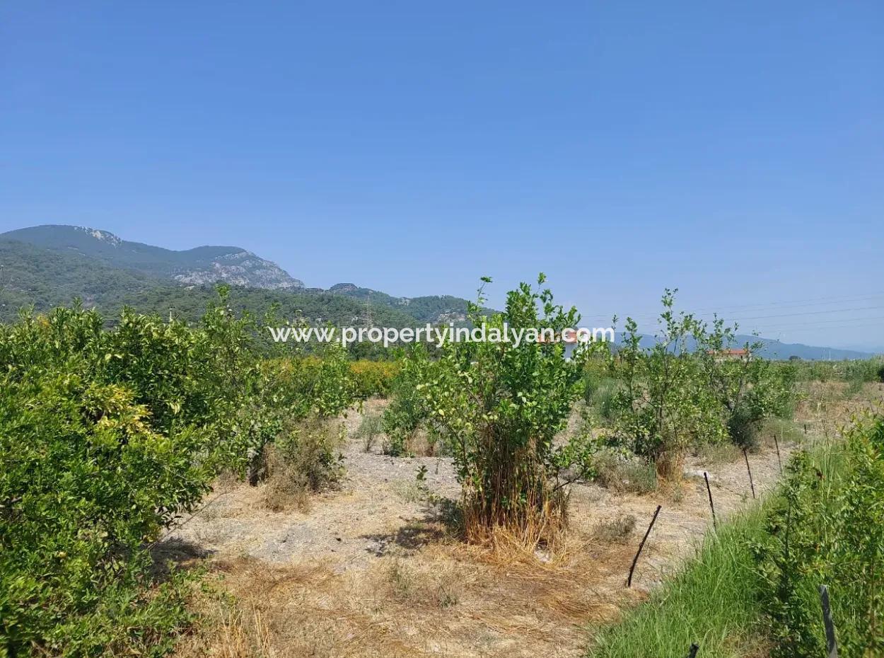 2.800 M² Land For Sale In Dalyan, Muğla, Close To Dalyan Canal