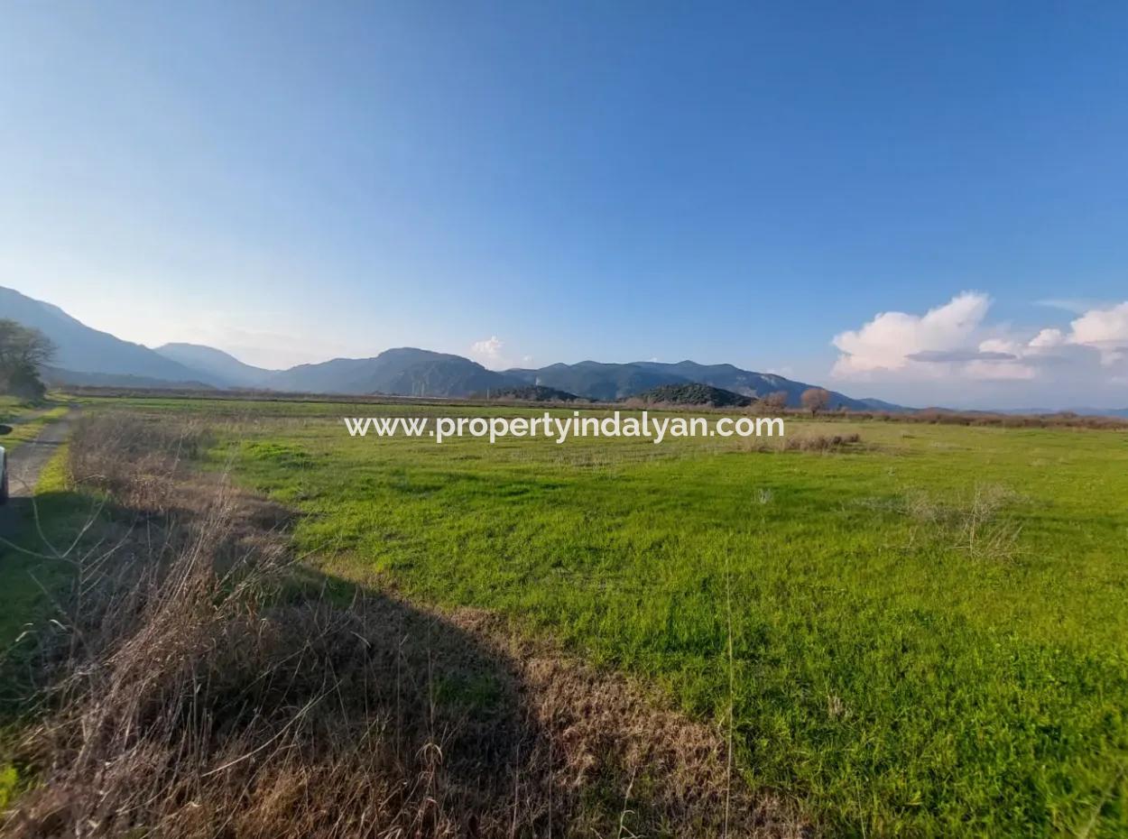 14.500 M² Fertile Land In Ortaca Güzelyurt For Long-Term Rental – Suitable For Animal Husbandry