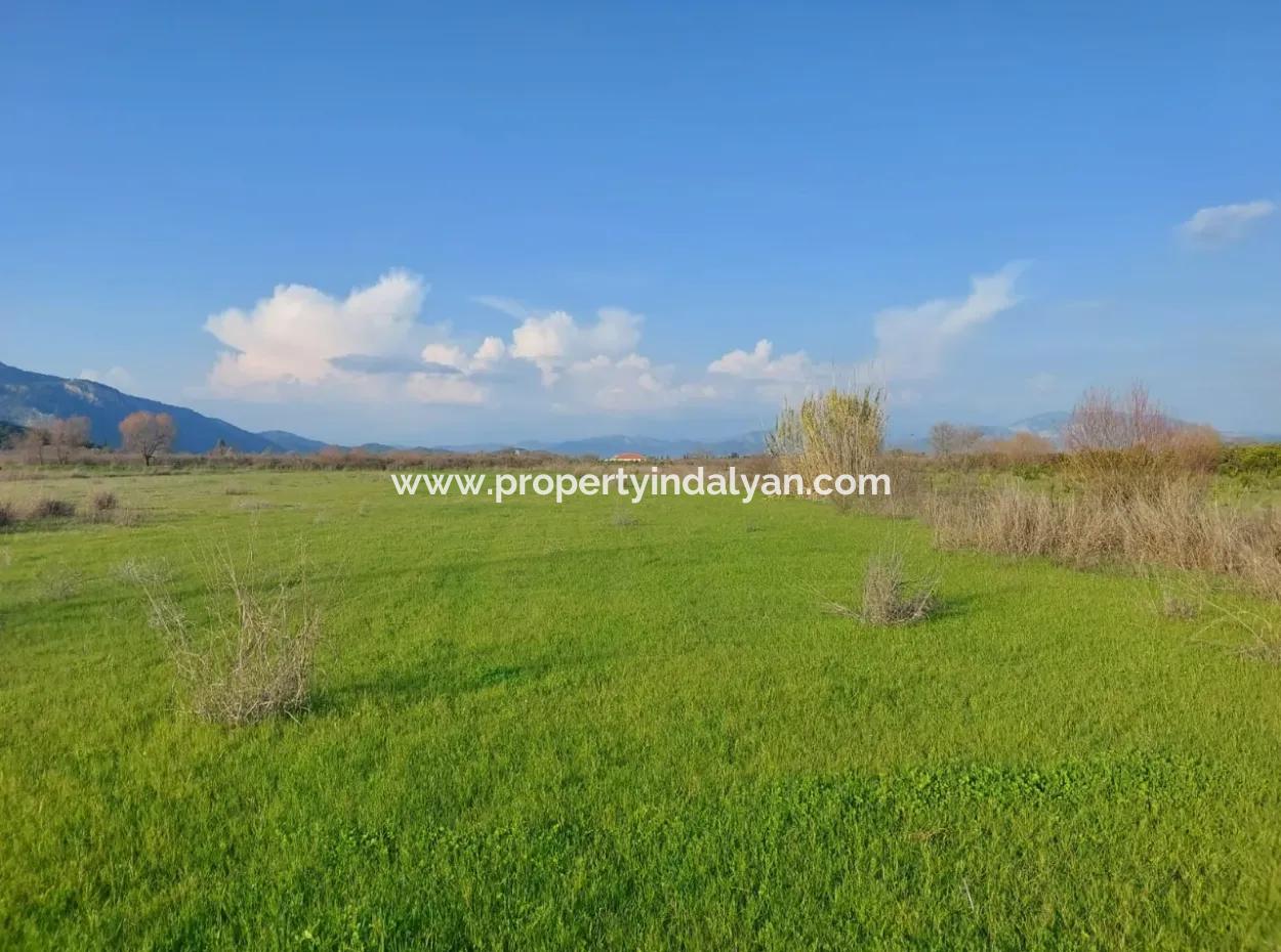 14.500 M² Fertile Land In Ortaca Güzelyurt For Long-Term Rental – Suitable For Animal Husbandry