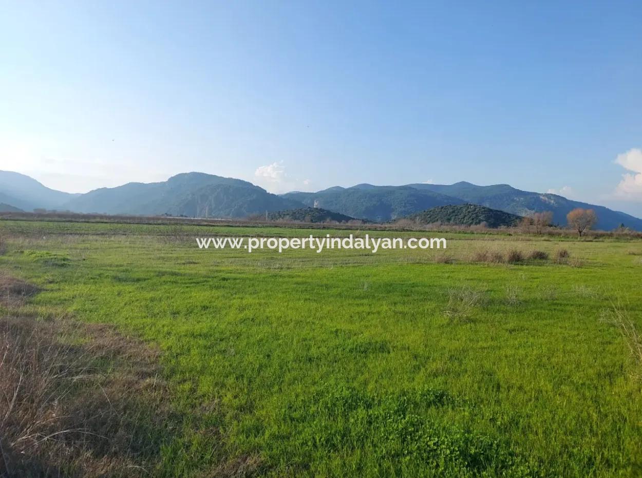 14.500 M² Fertile Land In Ortaca Güzelyurt For Long-Term Rental – Suitable For Animal Husbandry