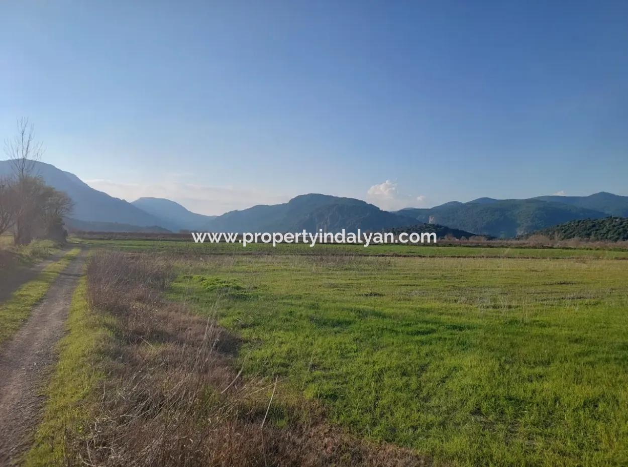 14.500 M² Fertile Land In Ortaca Güzelyurt For Long-Term Rental – Suitable For Animal Husbandry