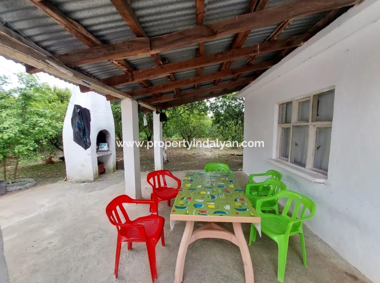 Village House And Farm For Sale On 6.650 M² Fertile Land In Muğla Köyceğiz Poplar