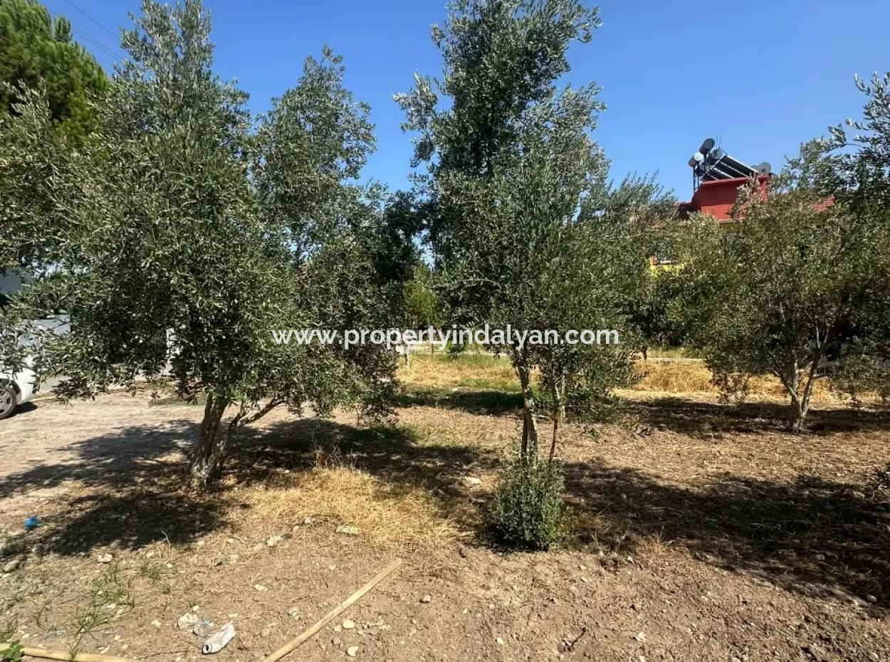 538 M2 Land For Sale In Ortaca Ekşiliyurt
