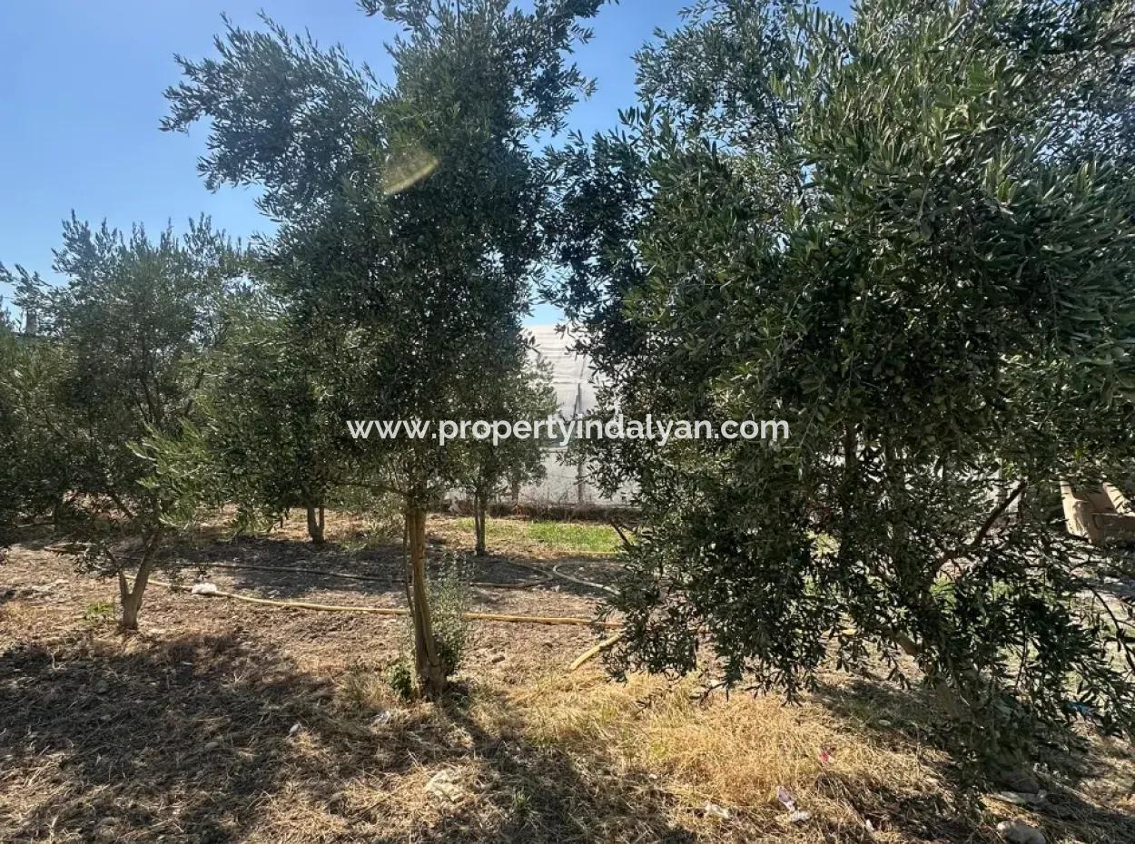 538 M2 Land For Sale In Ortaca Ekşiliyurt