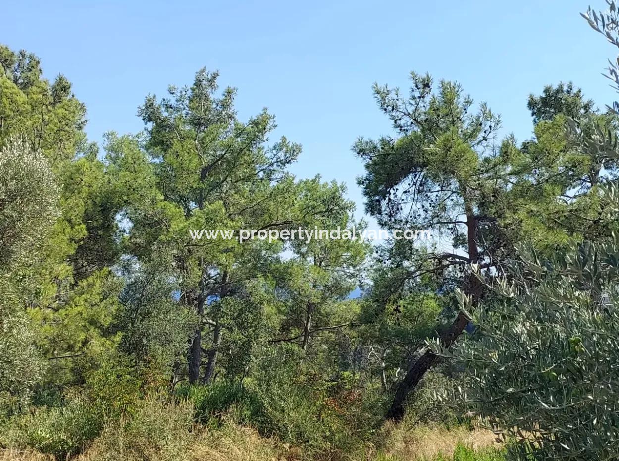 2 225 M2 2 Detached Parcels With Ortaca Sarigerme Sea View For Sale