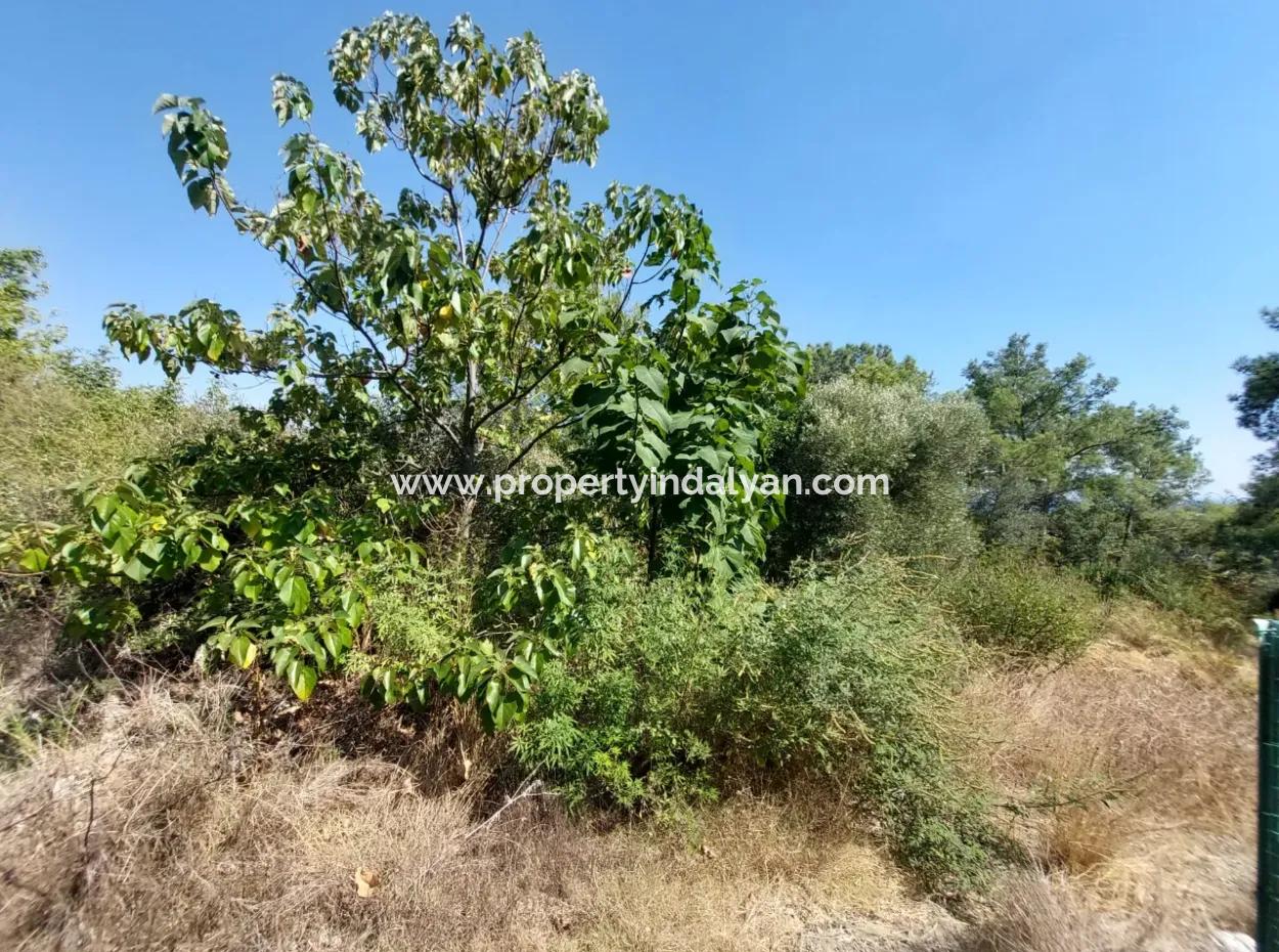 2 225 M2 2 Detached Parcels With Ortaca Sarigerme Sea View For Sale