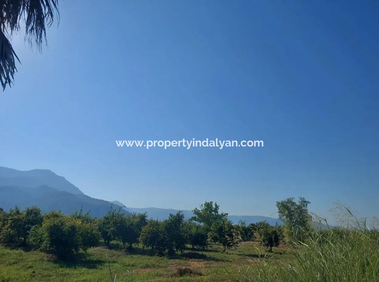 73,500 M² Pomegranate Garden Suitable For Investment In Ortaca Dalyan For Sale