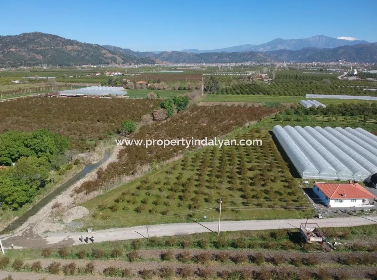 For Sale Bargain Ortaca In The Pomegranate Gardens