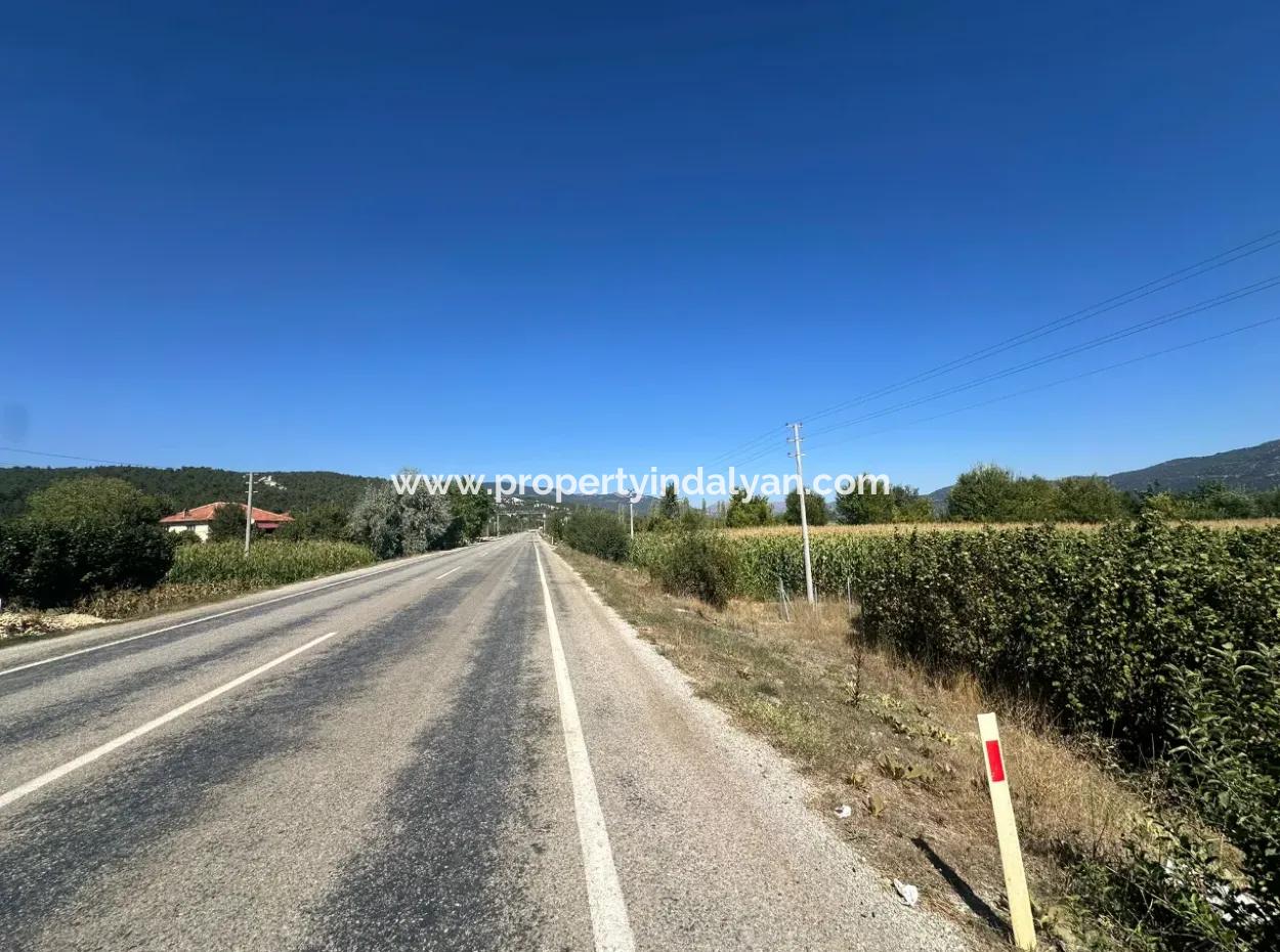 3070 M2 Walnut Orchard For Sale On The Side Of The Main Road In Denizli Çameli