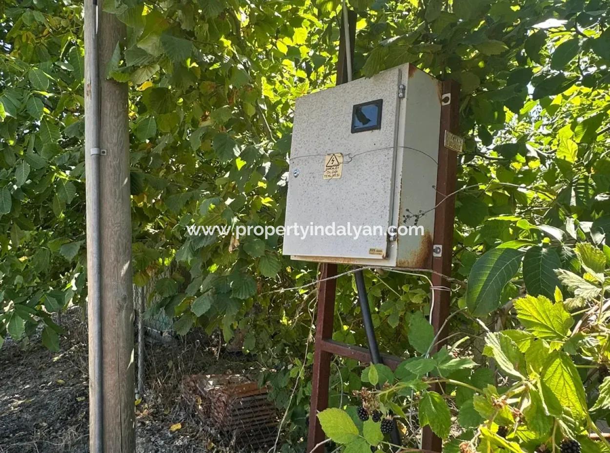 3070 M2 Walnut Orchard For Sale On The Side Of The Main Road In Denizli Çameli