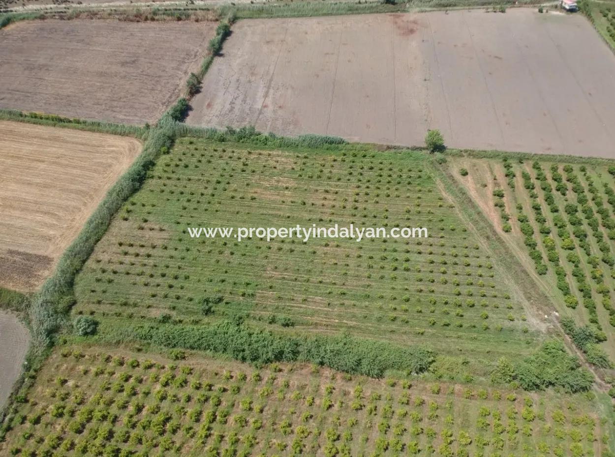 Tepearasi Oriya Bargain Between 13 700 M2 Land For Sale