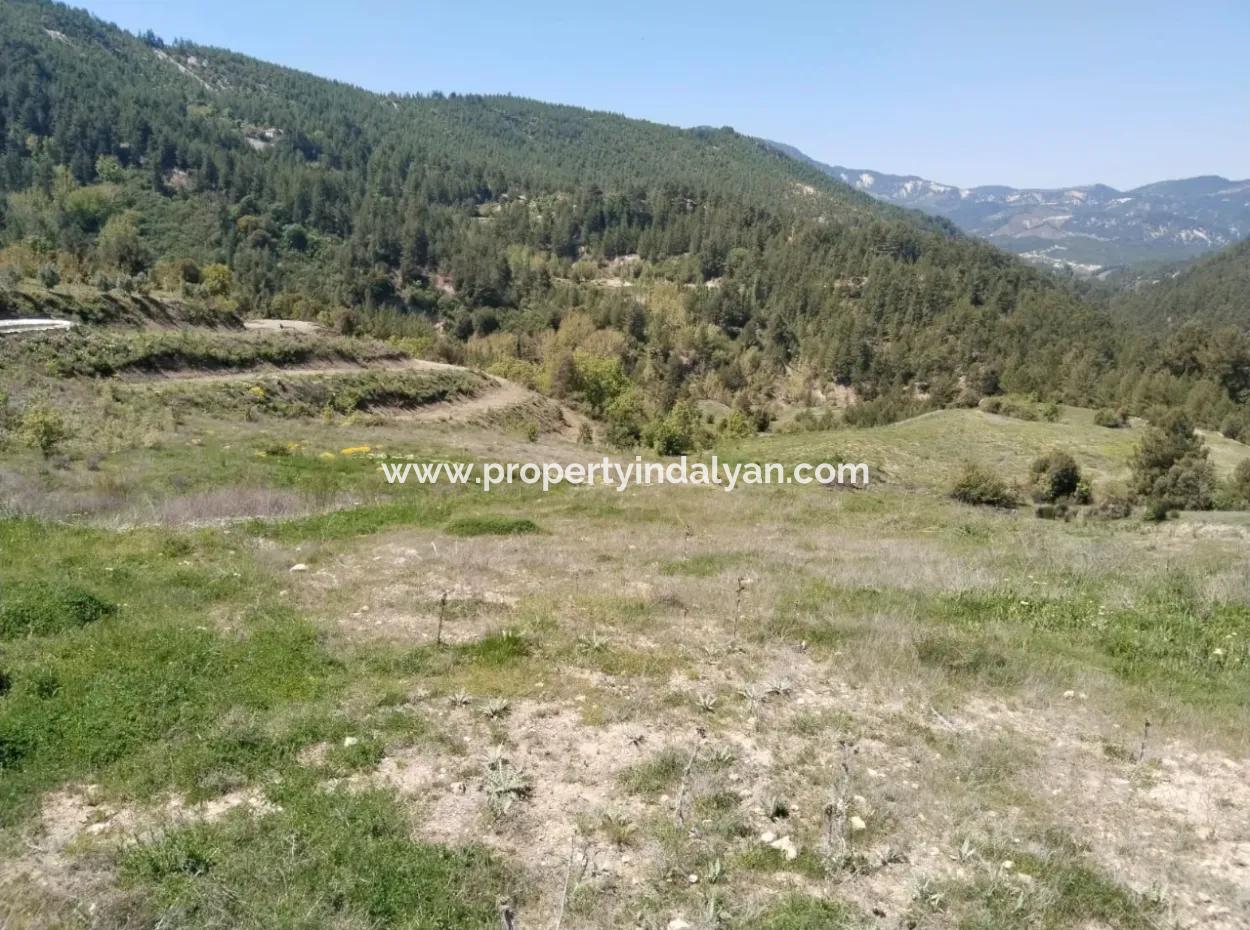 Çameli Kolakta Bargain 20 000 M2 Detached Title Deed Land Is For Sale Or Exchange.