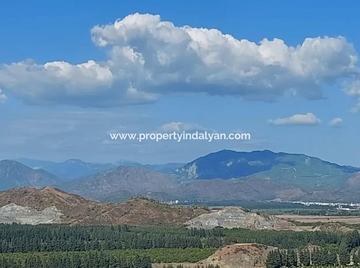 Ortaca Fevziye Sea And Nature View Bargain Detached Olive Grove For Sale