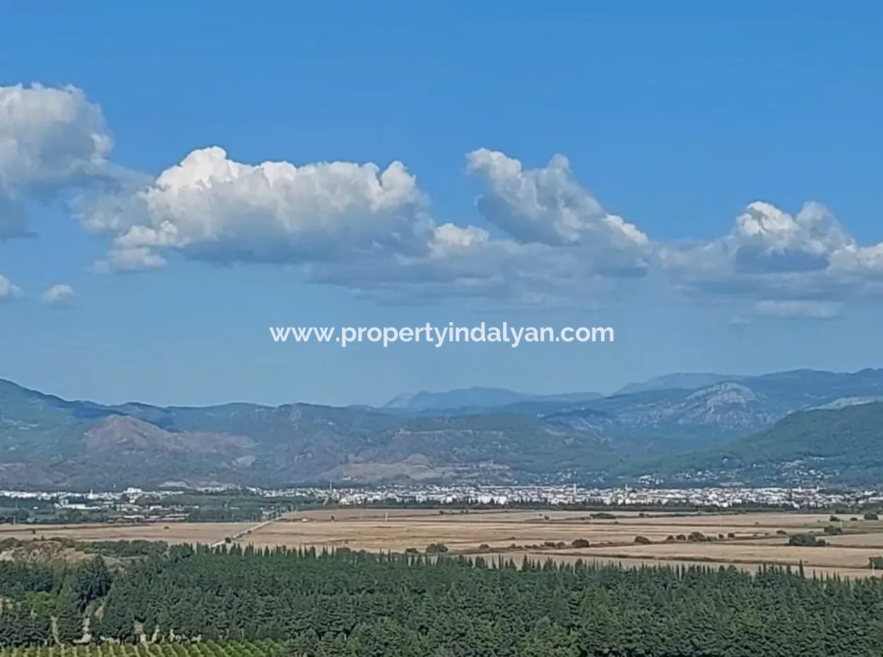 Ortaca Fevziye Sea And Nature View Bargain Detached Olive Grove For Sale