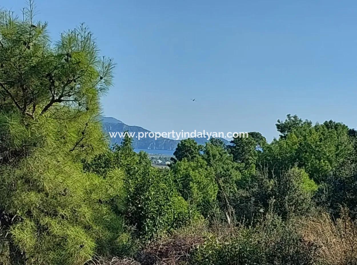 Ortaca Fevziye Sea And Nature View Bargain Detached Olive Grove For Sale