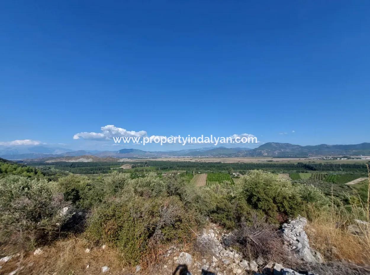 Ortaca Fevziye Sea And Nature View Bargain Detached Olive Grove For Sale