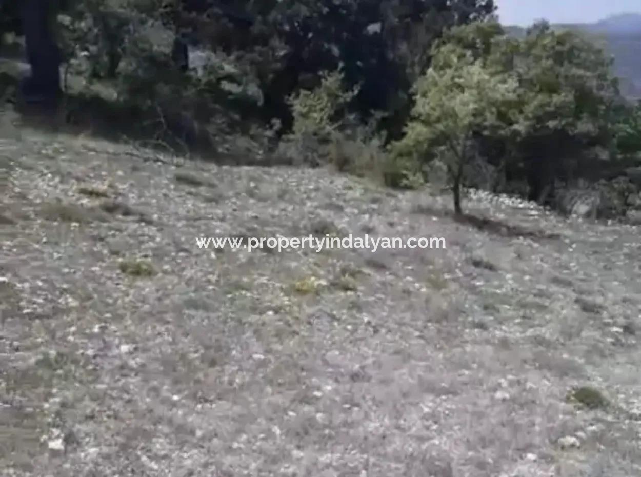 1770 M2 Field For Sale In Çameli Ayvacık