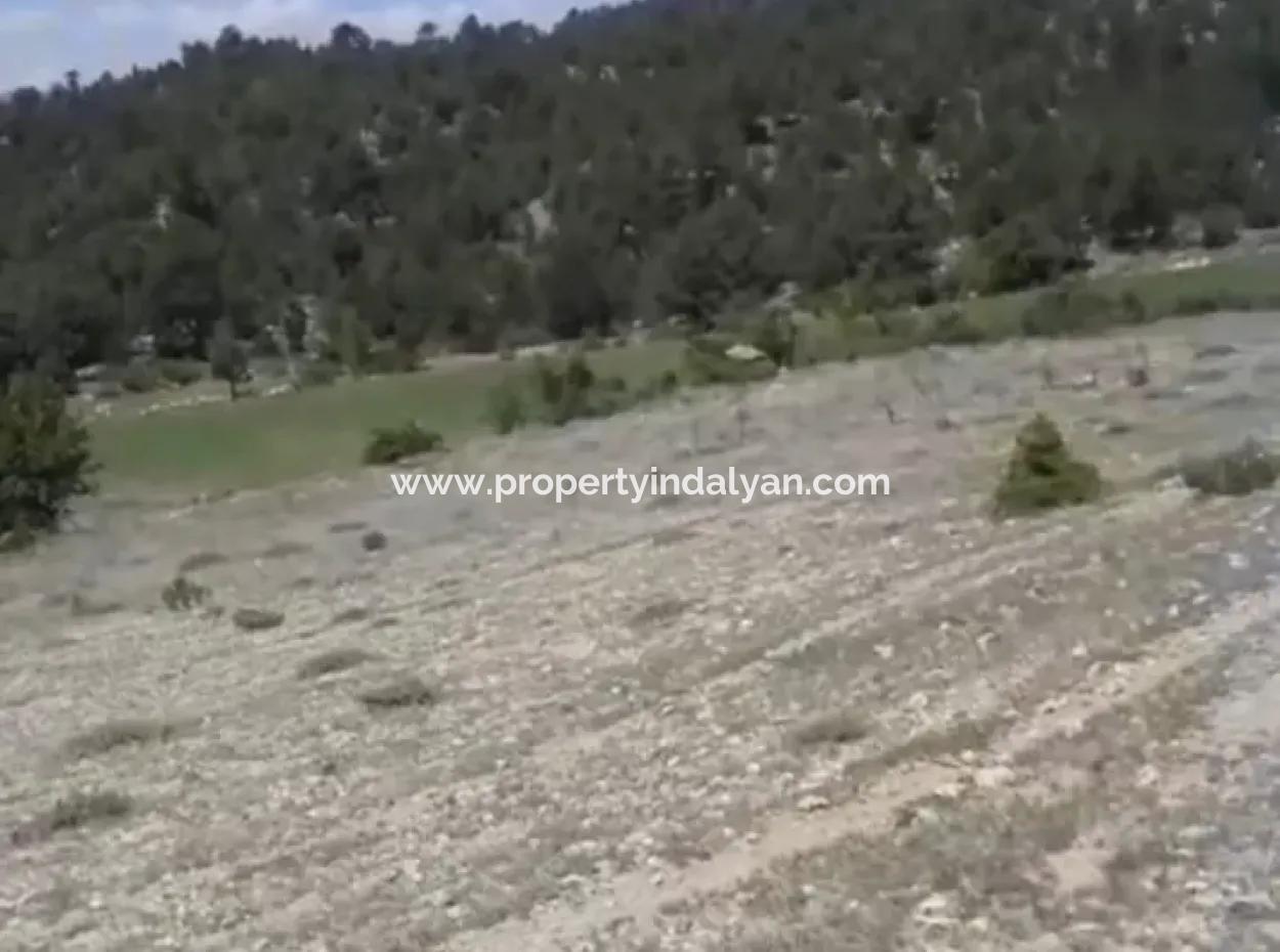 2030 M2 Field For Sale In Çameli Ayvacık