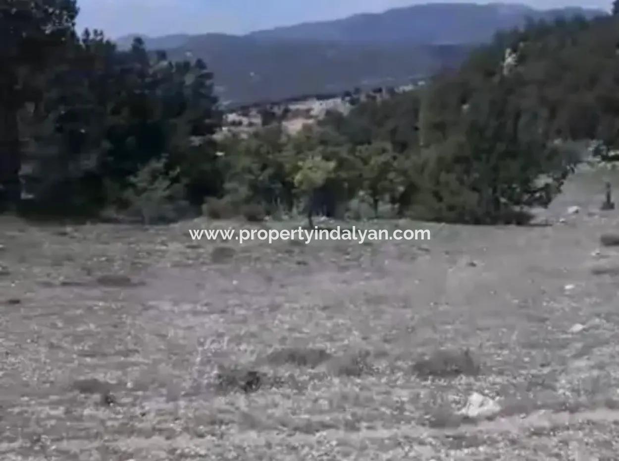 2030 M2 Field For Sale In Çameli Ayvacık