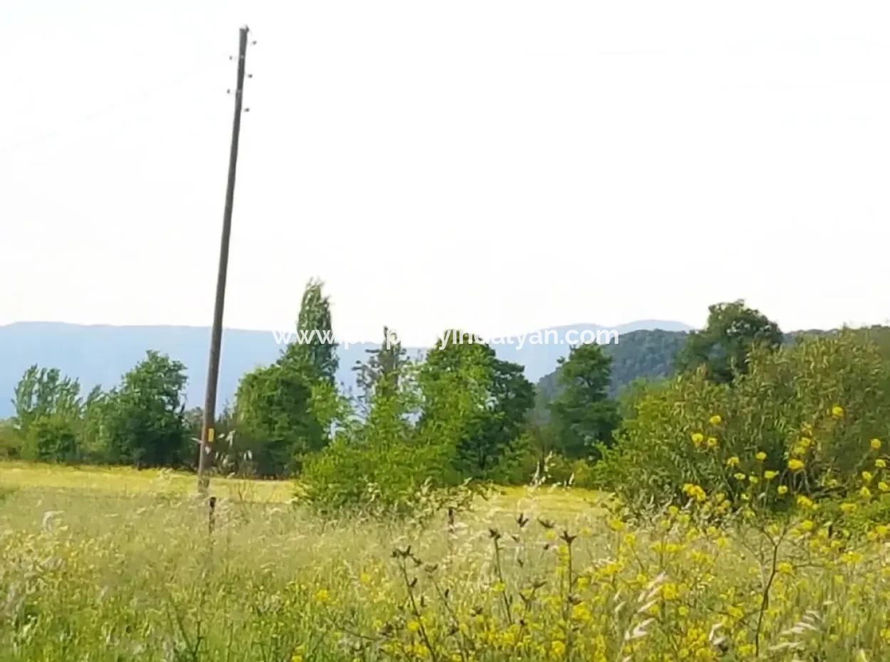 Corner Plot For Sale In Archer