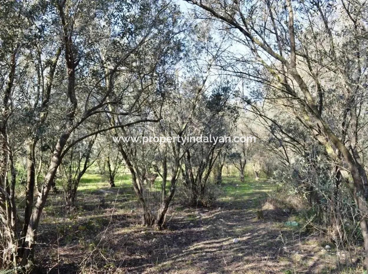 Detached Village House For Sale In Fethiye Kadıköy