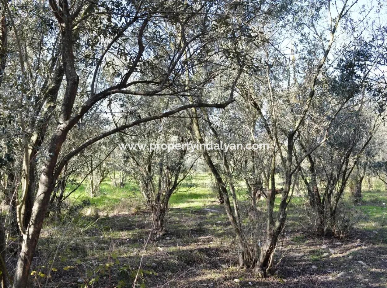 Detached Village House For Sale In Fethiye Kadıköy