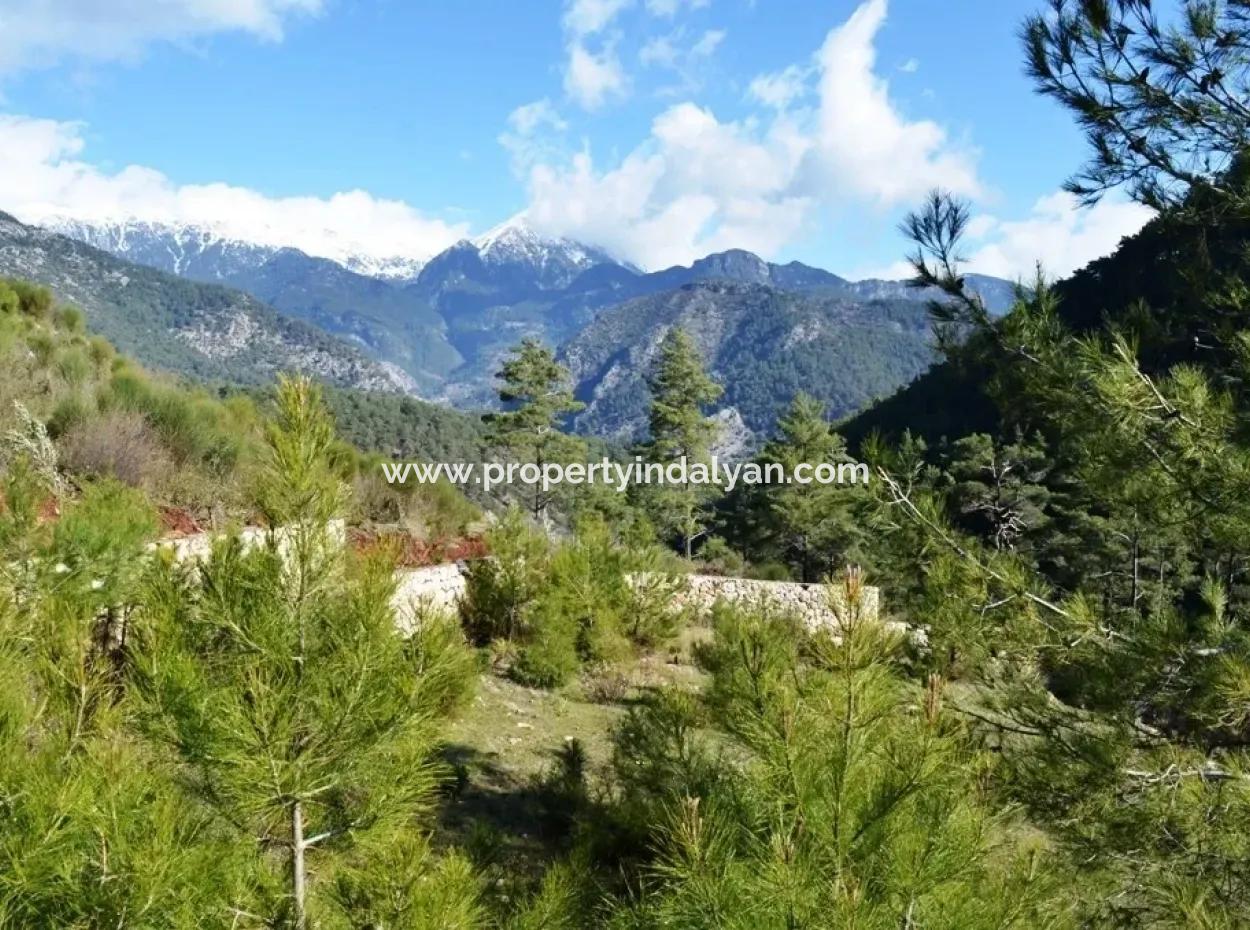 Plots Of Land For Sale In Fethiye Kizilbel