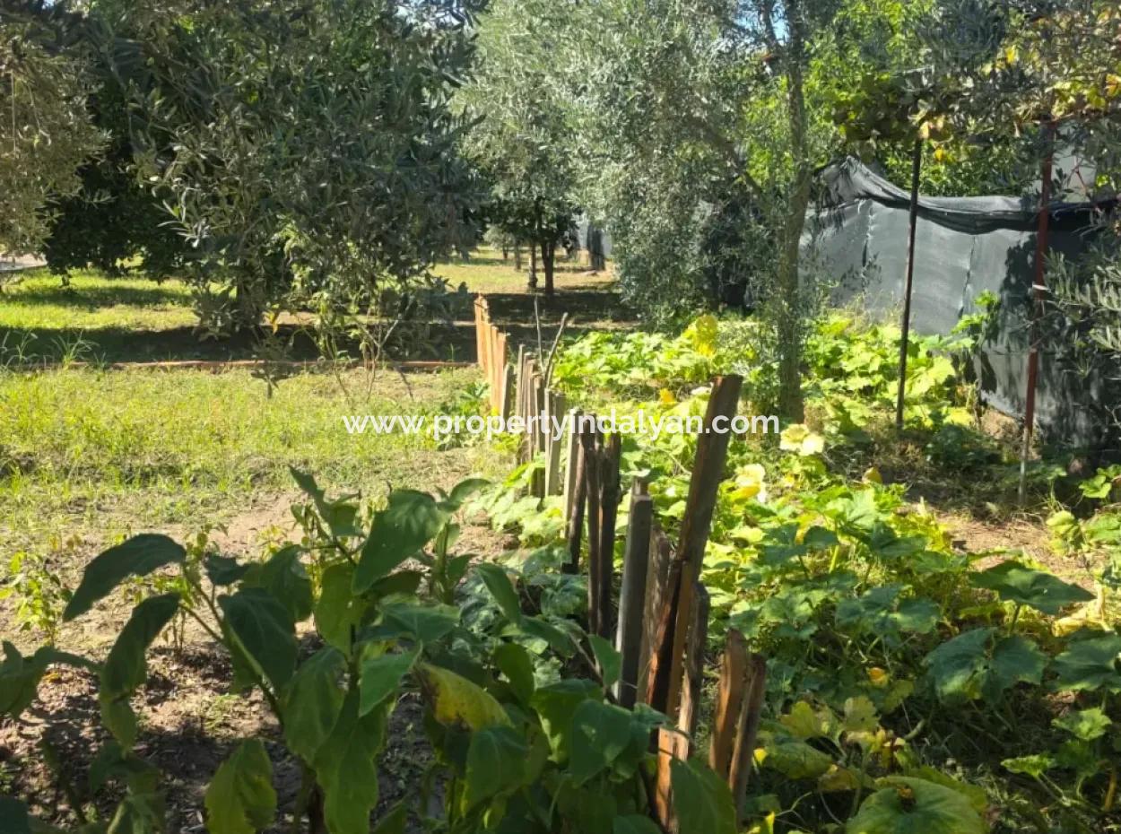 2 1, 70 M2 Village House For Sale On 902 M2 Land Zero To Ortaca Akıncı Sarıgerme Road