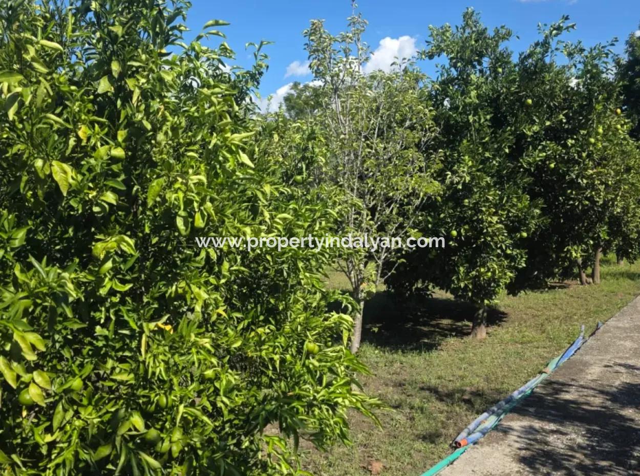 2 1, 70 M2 Village House For Sale On 902 M2 Land Zero To Ortaca Akıncı Sarıgerme Road