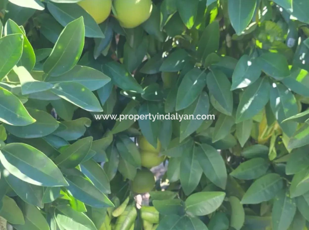 2 1, 70 M2 Village House For Sale On 902 M2 Land Zero To Ortaca Akıncı Sarıgerme Road