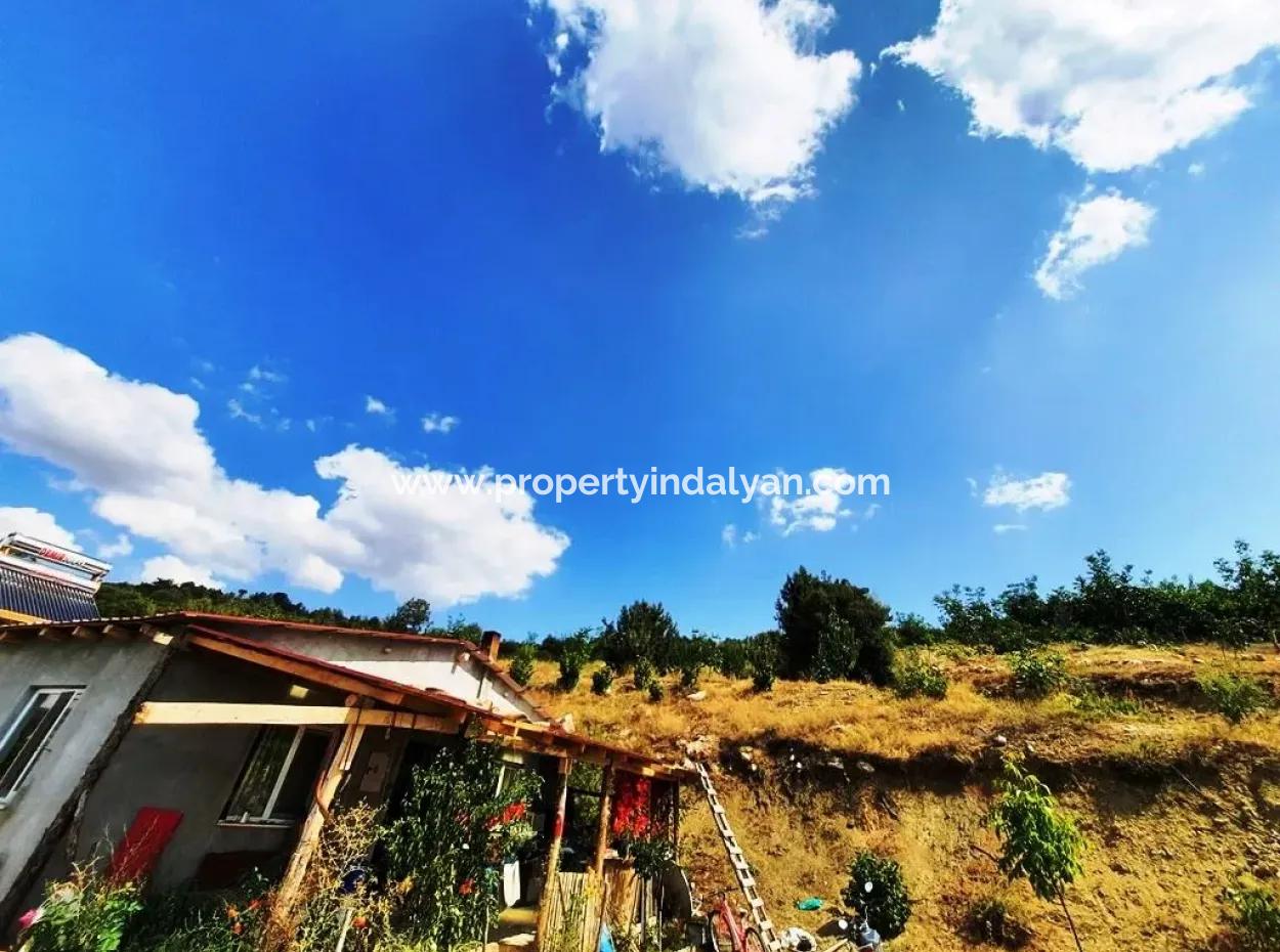 2 1 Houses And 200 M2 Barn On 5 000 M2 Detached Land In Çameli Kızılyaka For Sale