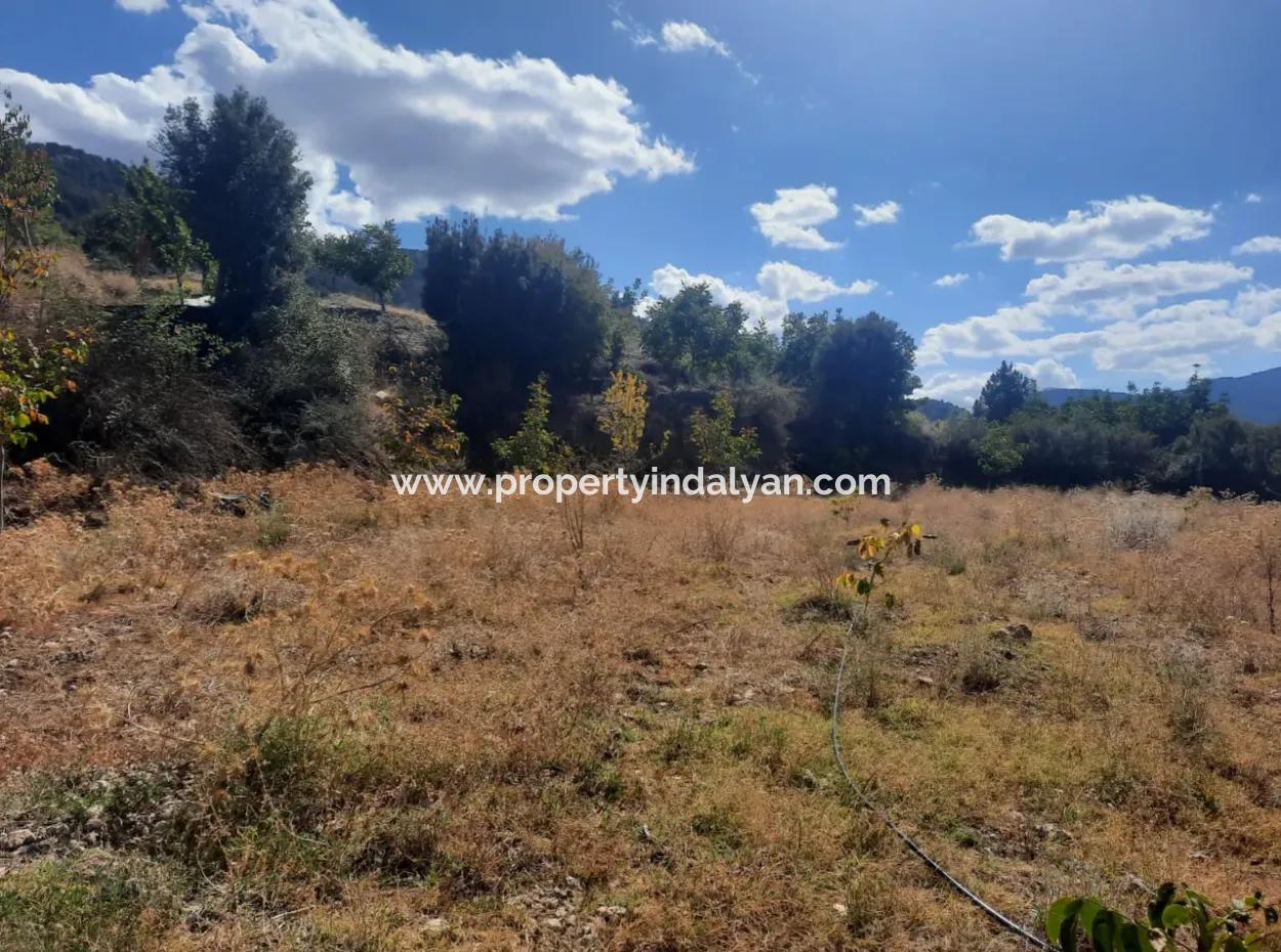 2 1 Houses And 200 M2 Barn On 5 000 M2 Detached Land In Çameli Kızılyaka For Sale