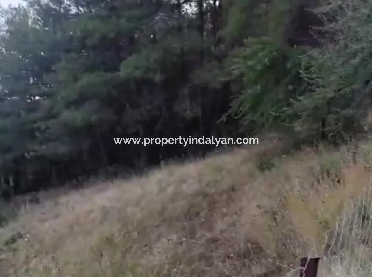 Muğla Ula Çiçek Main Road In Greenery 2.500 2 Detached Land With Title Deed For Sale.