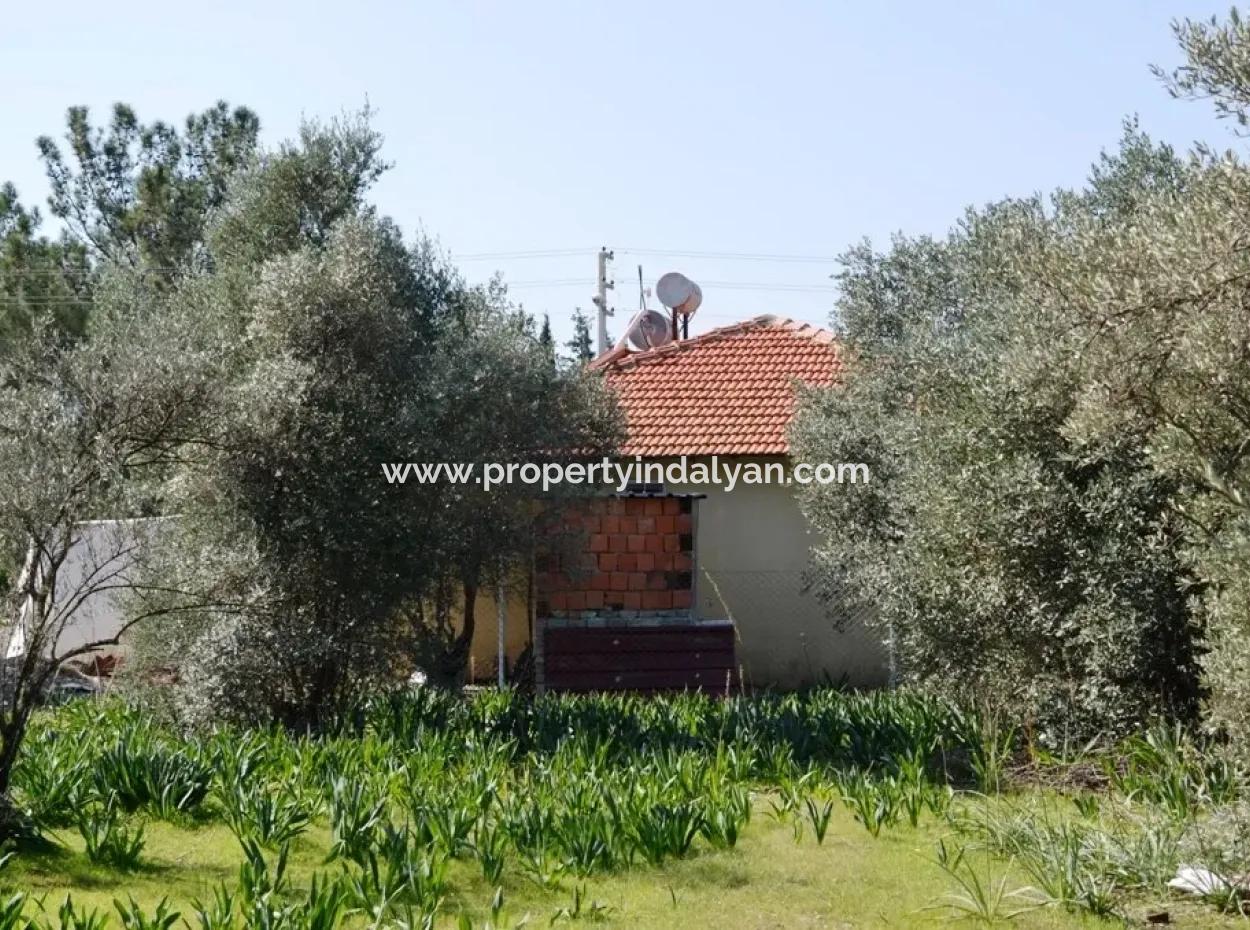 Villa For Sale Bargain Ortaca In The Plot