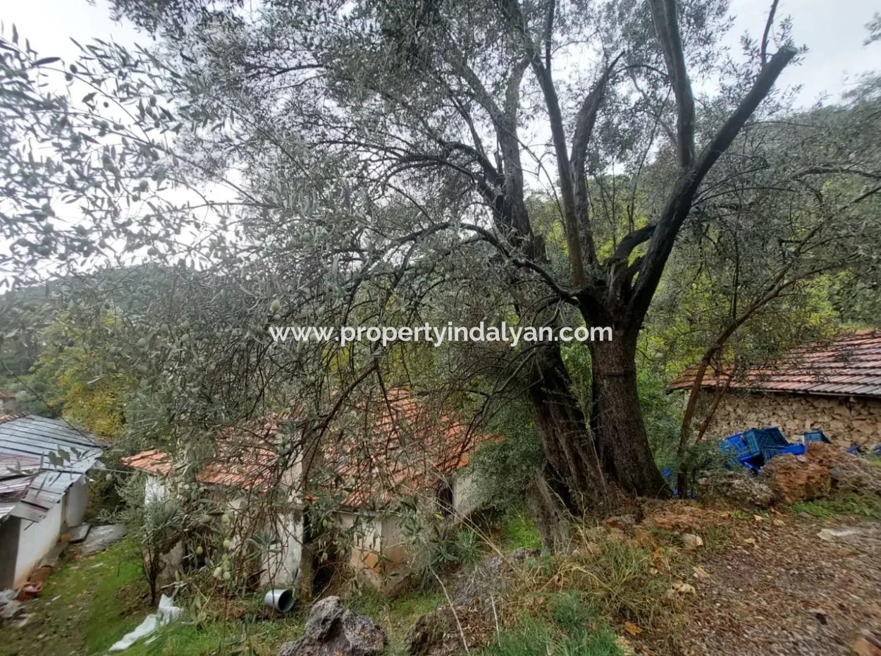 Village House With Title Deed For Sale In Nature In Muğla Fethiye İnlice