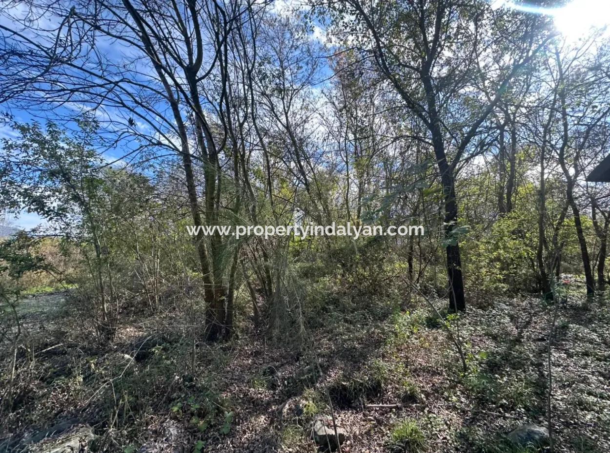 12 000 M2 Field For Sale In Ortaca Yeşilyurt