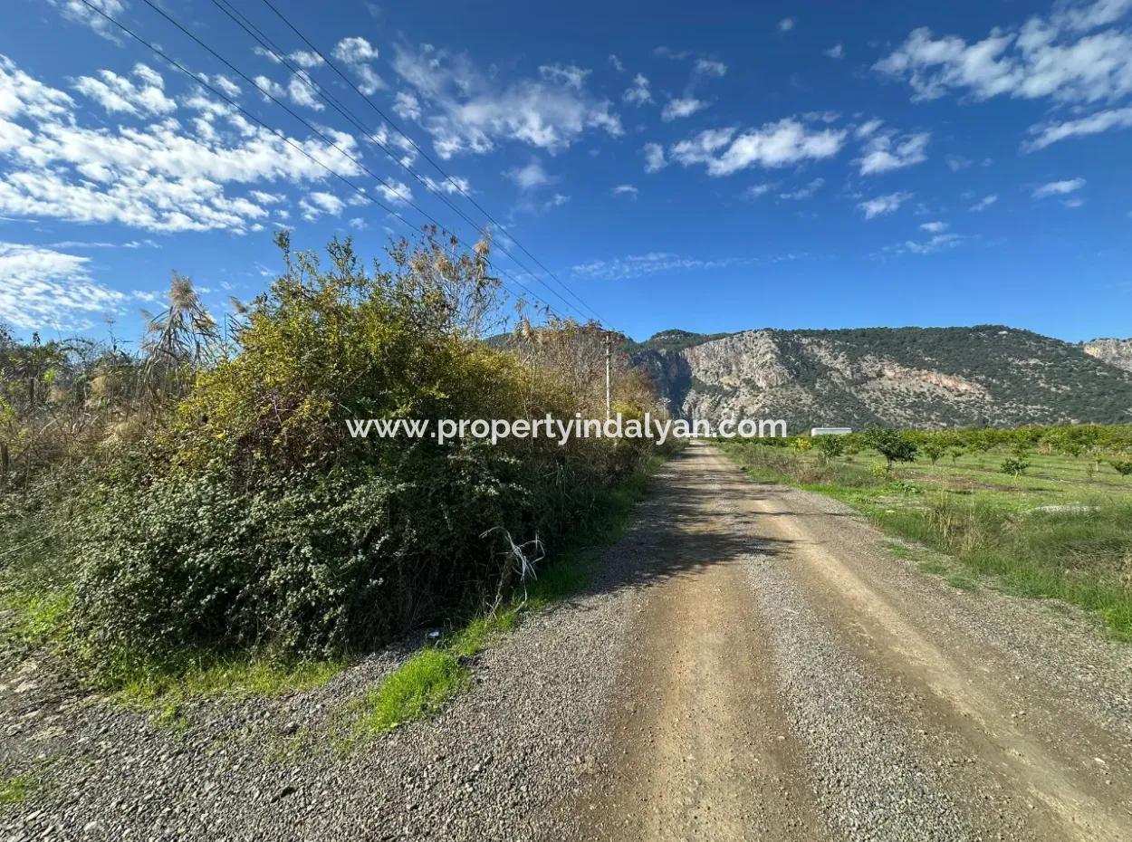 12 000 M2 Field For Sale In Ortaca Yeşilyurt