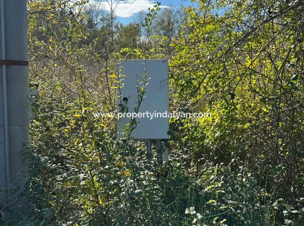 12 000 M2 Field For Sale In Ortaca Yeşilyurt