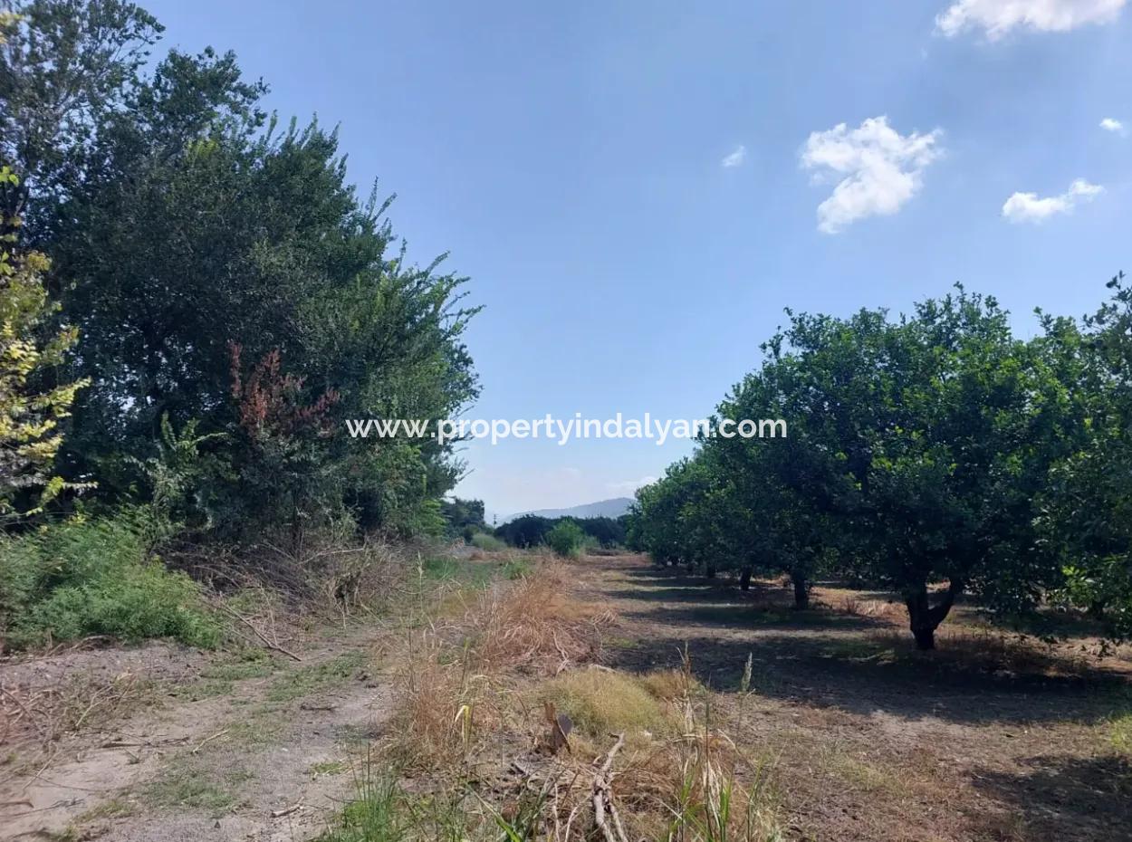 Muğla Okçular On The Border Of Dalyan 750 M2 Cooperative Land Is For Sale At An Urgent Bargain Price