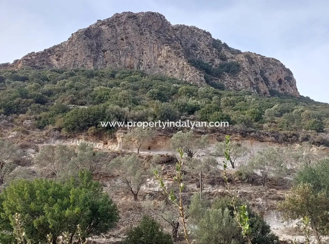 15 200 M2 Detached Land For Sale In Muğla Datça Yazi