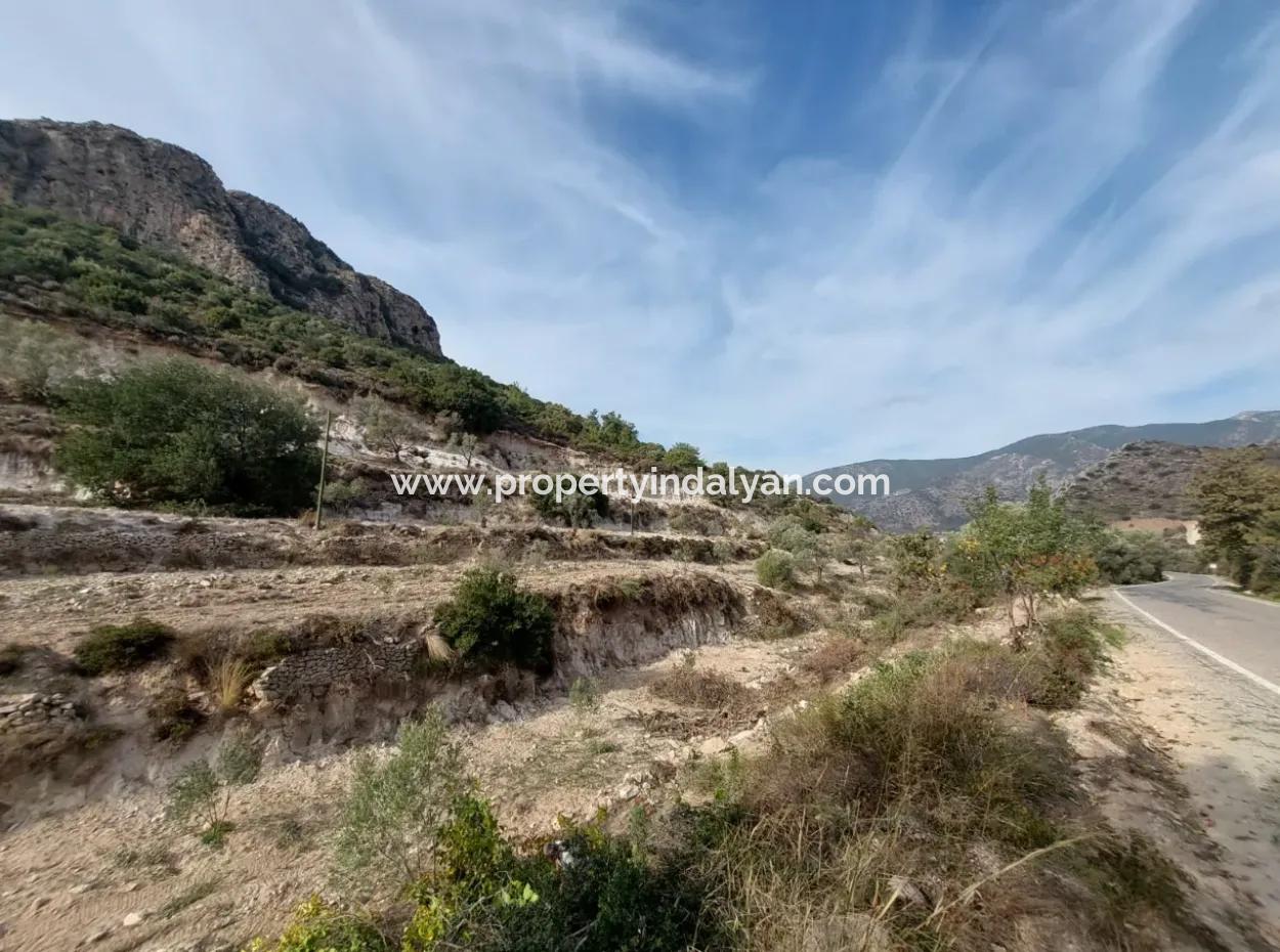 15 200 M2 Detached Land For Sale In Muğla Datça Yazi