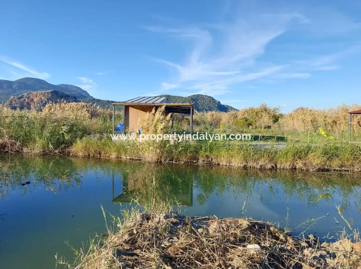 Container With Boat Mooring Place By The Canal In Muğla Ortaca Dalyan – For Sale