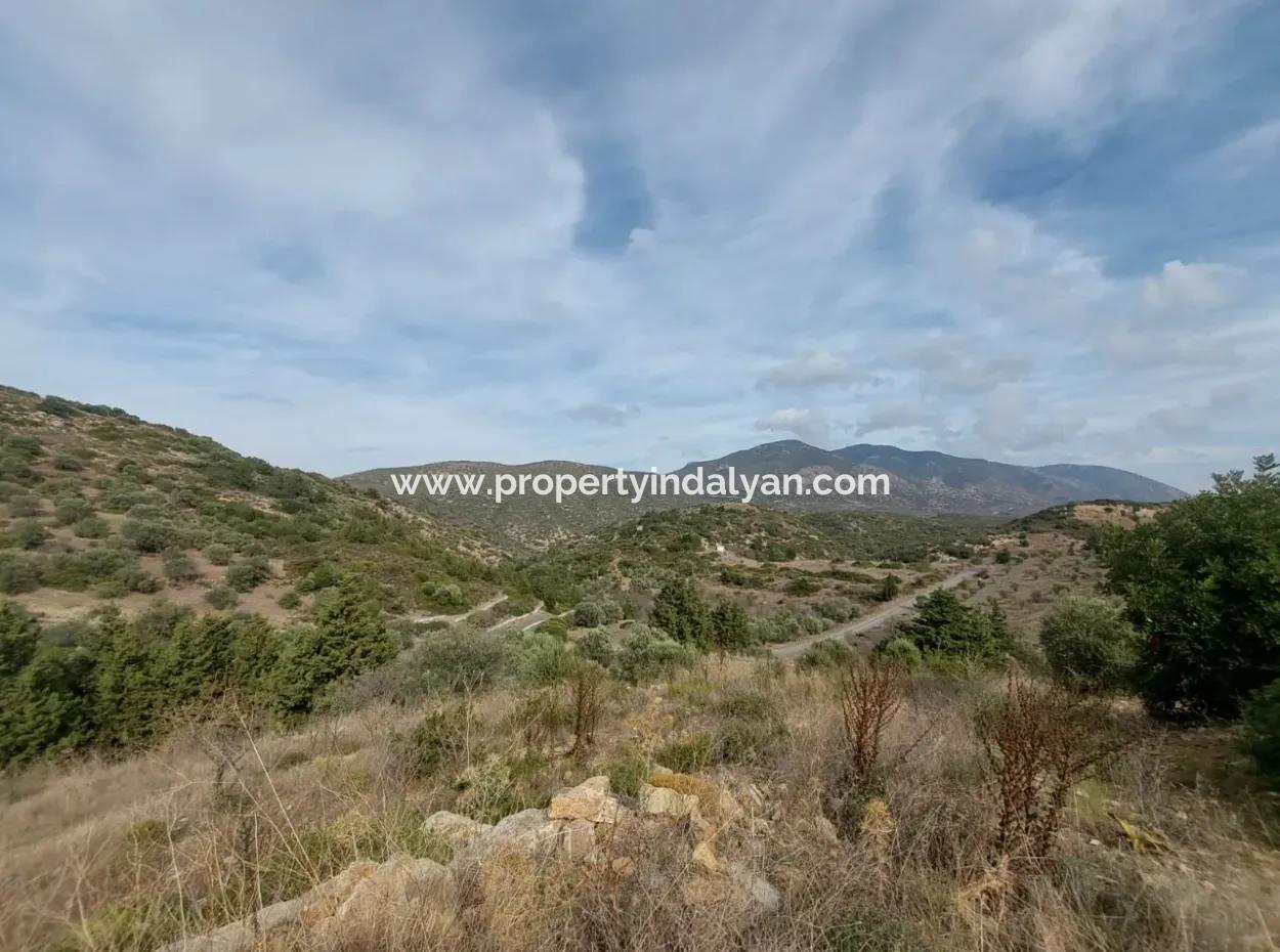 8.400 M² Bargain Olive Grove For Sale With Detached Title Deed In Datça Yazı, Muğla