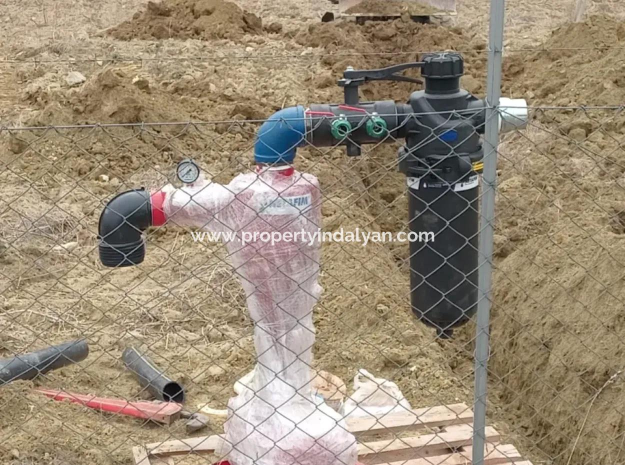 37.000 M2 Walnut Orchard In Denizli Tavas Ulukent For Sale