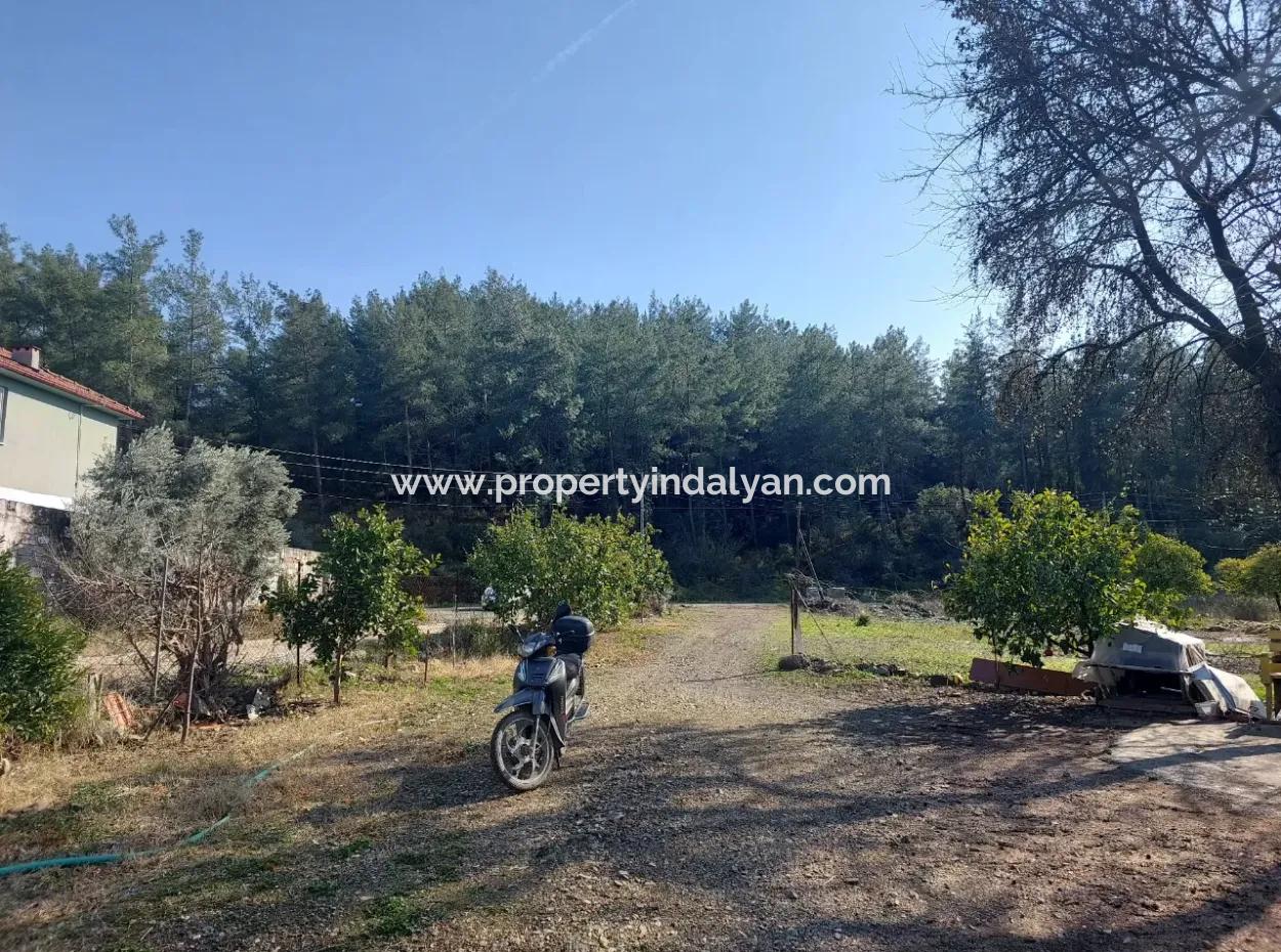 Muğla, Köyceğiz, Kavakarası 2 1, 3 Independent Kelepir Village Houses For Sale On 1500 M2 Land