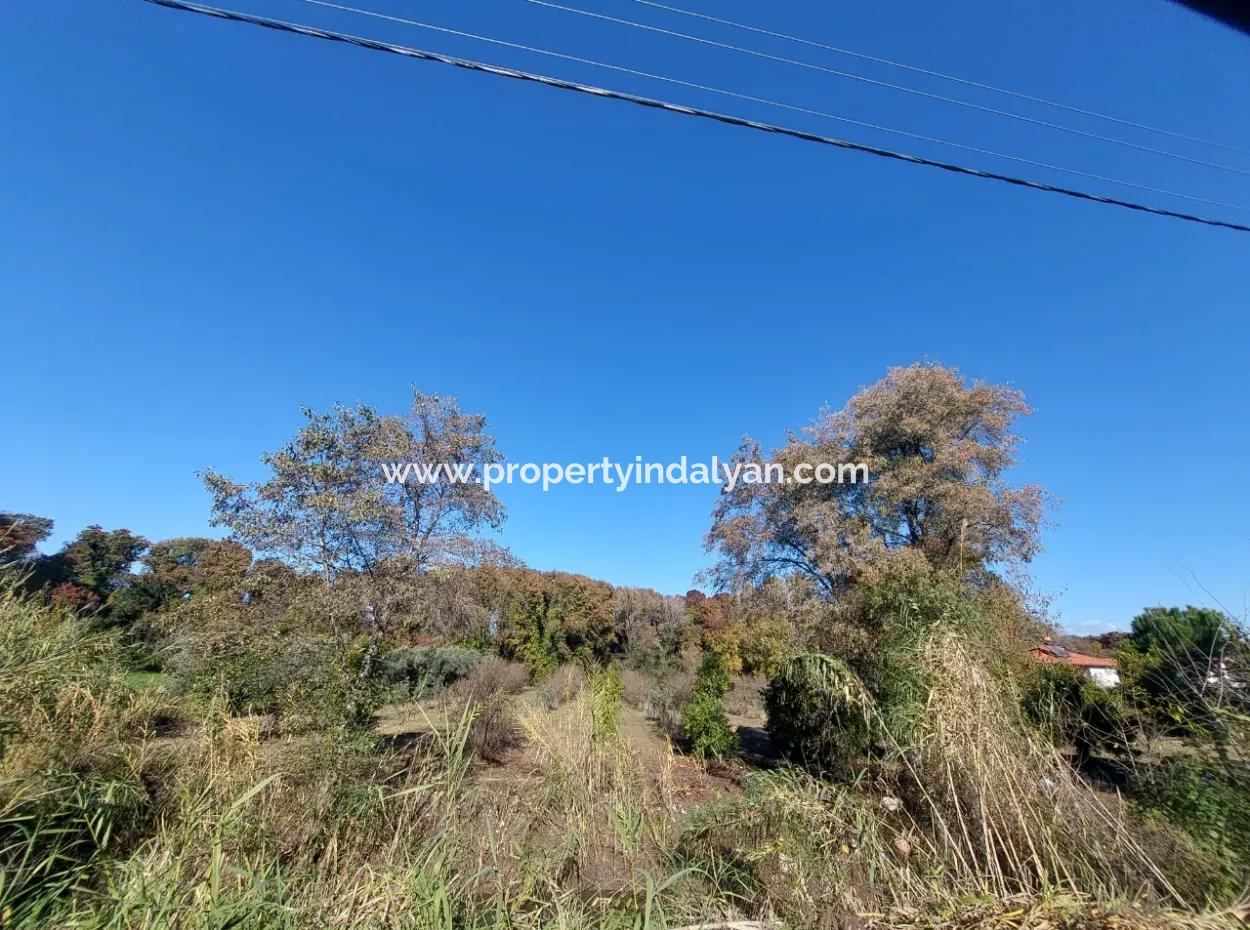 Bargain Suitable For Investment In Muğla Dalyan 4 000 M2 Land By The Forest Is For Sale